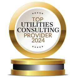 IDI Consulting Utilities Business Review